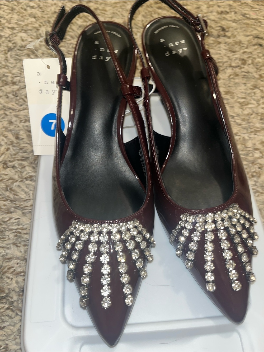 A New Day Burgundy Pointed Toe Slingback Flats with Rhinestone Fringe